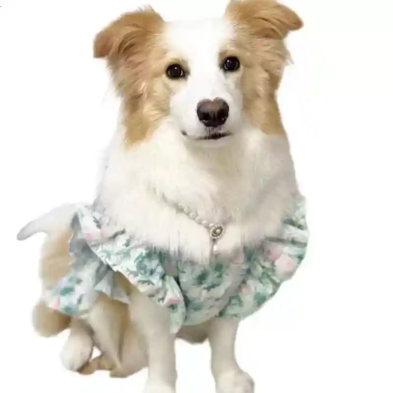 Summer Dog Clothing - Ubranka dla zwierząt na wiosnę i