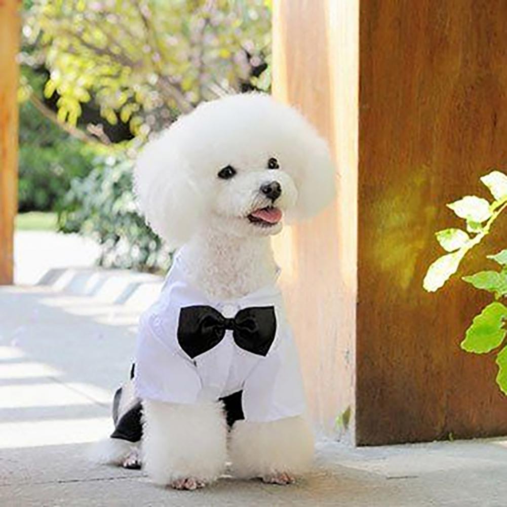 Summer Dog Clothing - Pies Muszka Garnitur Smoking Kostium Formalna