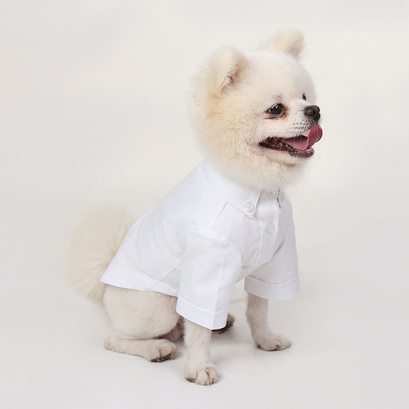 Wiosenne i jesienne koszulki d – Summer Dog Clothing recenzja i cena