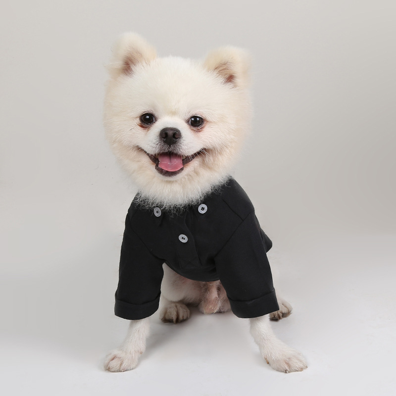Wiosenne i jesienne koszulki d – Summer Dog Clothing recenzja i cena