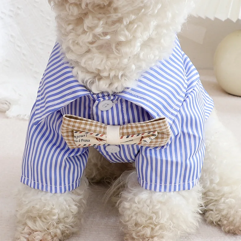 Ubranka dla psów, koszulki w p – Summer Dog Clothing recenzja i cena