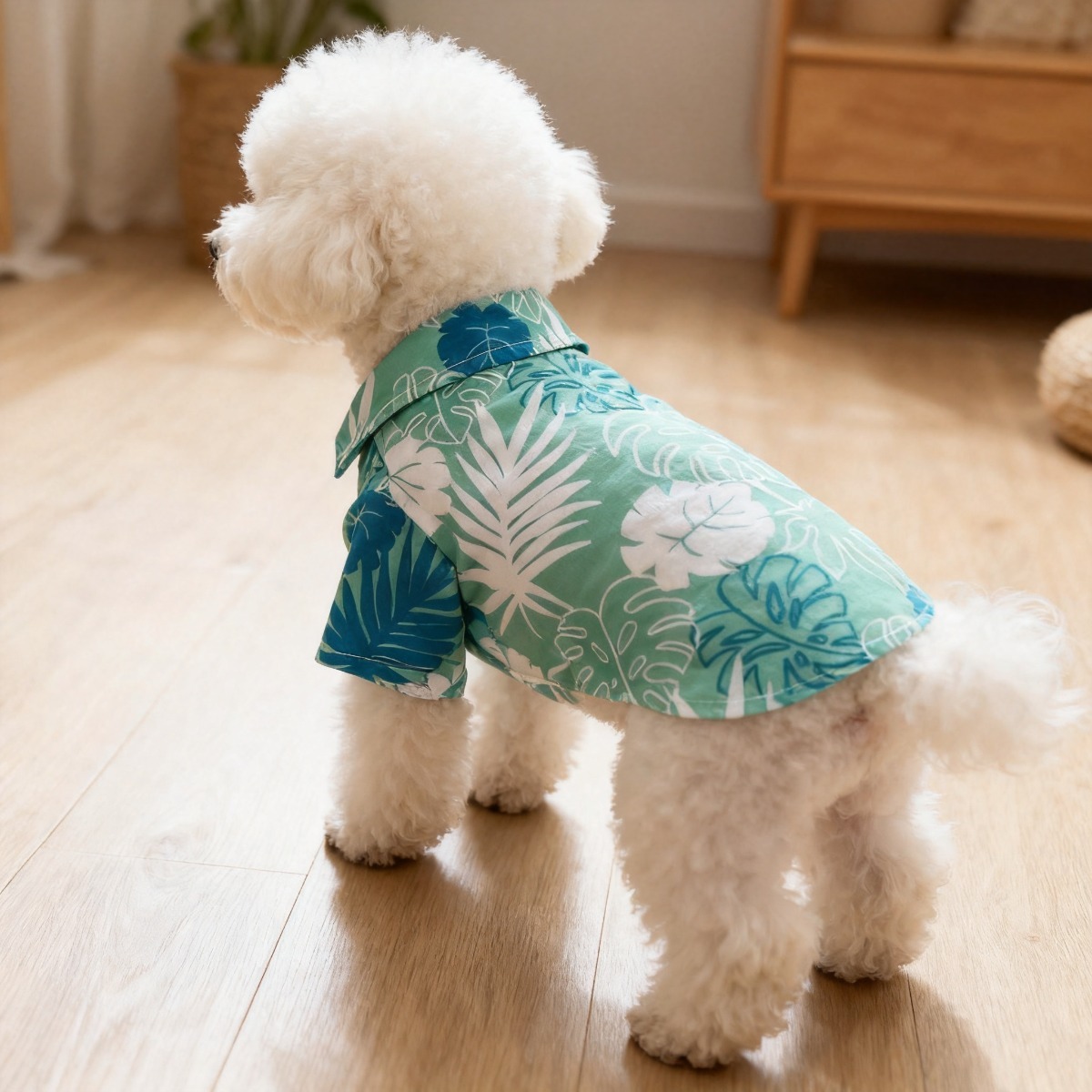Koszula dla kota z motywem kwi – Summer Dog Clothing recenzja i cena
