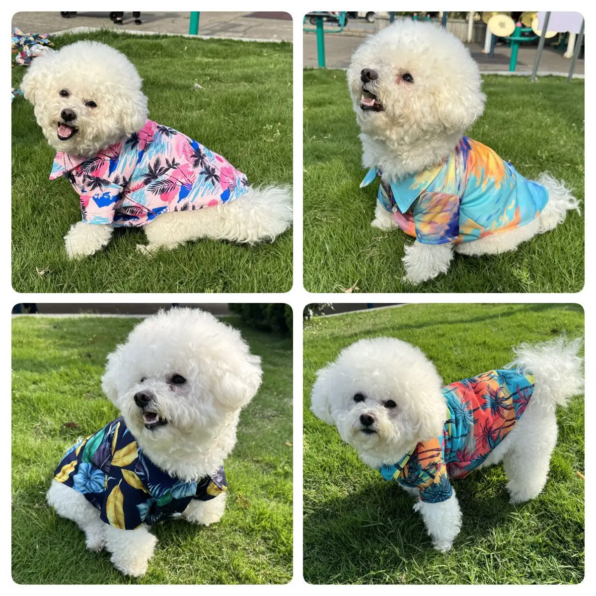 Hawajska koszula dla zwierząt, – Summer Dog Clothing recenzja i cena