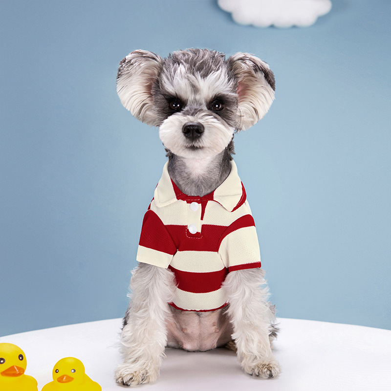 Koszulka polo dla psa, letnie  – Summer Dog Clothing recenzja i cena