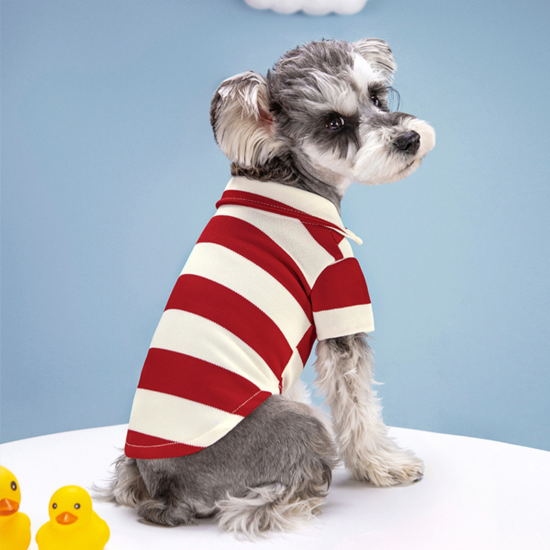 Koszulka polo dla psa, letnie  – Summer Dog Clothing recenzja i cena