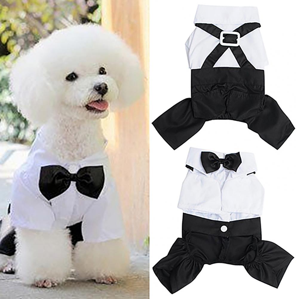 Pies Muszka Garnitur Smoking K – Summer Dog Clothing recenzja i cena
