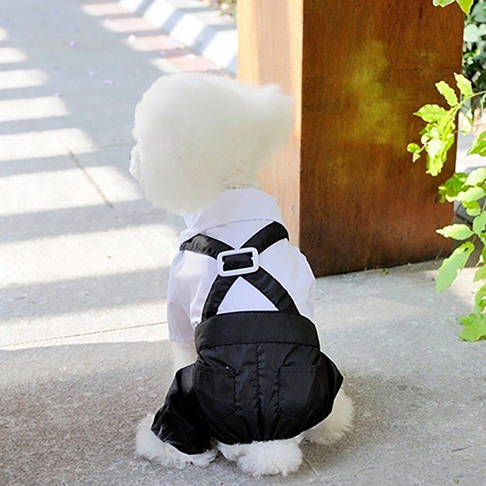 Pies Muszka Garnitur Smoking K – Summer Dog Clothing recenzja i cena