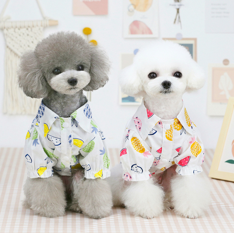 Nowe ubranka dla psów i kotów  – Summer Dog Clothing recenzja i cena